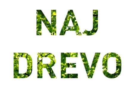 Naj drevo