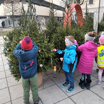 Krasitev smrečic v mestu