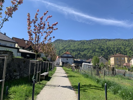 Levi breg reke Rinže. 