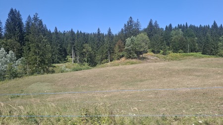 Fotografija s terena: posledice suše. 