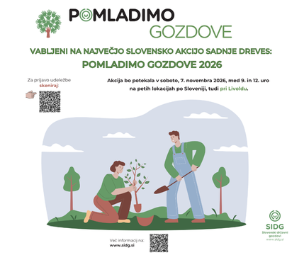 Grafično vabilo.